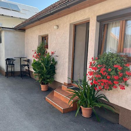 Apartman Anna Ogulin Buitenkant foto